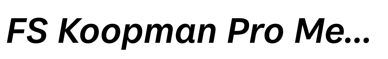 FS Koopman Pro Medium Italic